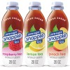Snapple Diet Snapple Ice Tea Variety Pack, 24 pk./20 fl.