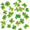 Shamrock and Ladybug Decorative Cocktail Napkins, 3-Ply, 40 Count, St.