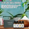Essential Oils Set-Essential Oils- Perfect for Diffuser,Candle Making,Soap Making -Eucalyptus,