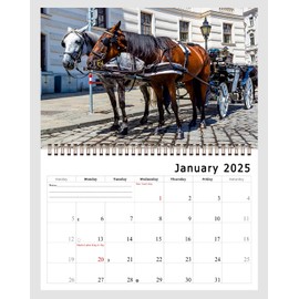 2025 Spiral-bound Wall Calendar (Horses) - 12 Months Desktop/Wall Calendar/Planner