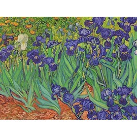 Retrospect Group Van Gogh Flowers Note Card Set of 16 Blank Note Cards with Envelopes