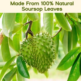 60 Pure Soursop Leaves Tea Bags, Real Natural Soursop Graviola Leaves Teabag, Handmade Made of Premium Guanabana Leaves, Pleasant Taste Natural Flavor,No Sugar/Caffeine/Gluten (1.5g/bag)