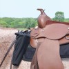 Easy-Up Schneiders Easy-Mount Step Stool | Portable Horse Mounting Aid