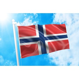 DMSE Norway Norwegian Scandinavian Cross Flag 2X3 Ft Foot 100% Polyester 100D Flag UV Resistant