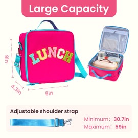 Lanynne Insulated Lunch Bag with Exterior & Interior Pockets, Nylon Material with Adjustable Shoulder Strap, for Travel, and Picnics (Rosy Red)