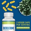 Herbal Supplements 1000mg, 60 HCL Vegan Capsules, High Absorption Herbal