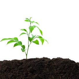 Old Potters Organic Compost - Plant Based Potting Soil - Home, Garden Fertilizer - Complete Food - Boosts Plant Growth - Use for Indoor and Outdoor Farming ~25 lbs (24 Quarts)