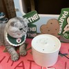 Ceramic Cat Water Fountain 33.82oz/1L Automatic Super Silent Pet Drinking