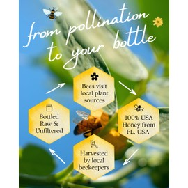 Orchard Pond Tupelo Honey - Rare Harvest from White Ogeechee Tupelo Trees, Handcrafted in North Florida, 100% Pure & Unheated - 12oz Bear