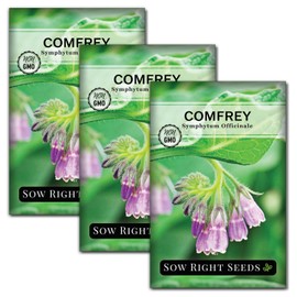 Sow Right Seeds - Comfrey Seeds for Planting - Non-GMO Heirloom Packet with Instructions to Plant an Outdoor or Indoor Herb Garden - Roots & Leaves for Home Remedies - Medicinal Salve, Oil, Tea (3)