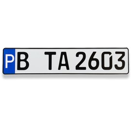 TA TradeArea DIN-Certified European Number Plate in Standard Size, 520 x 110 mm, including Parking Disc suitable for all German Vehicles and Bike Carriers, 520 mm x 110mm x 1 mm, Embossing of your choice