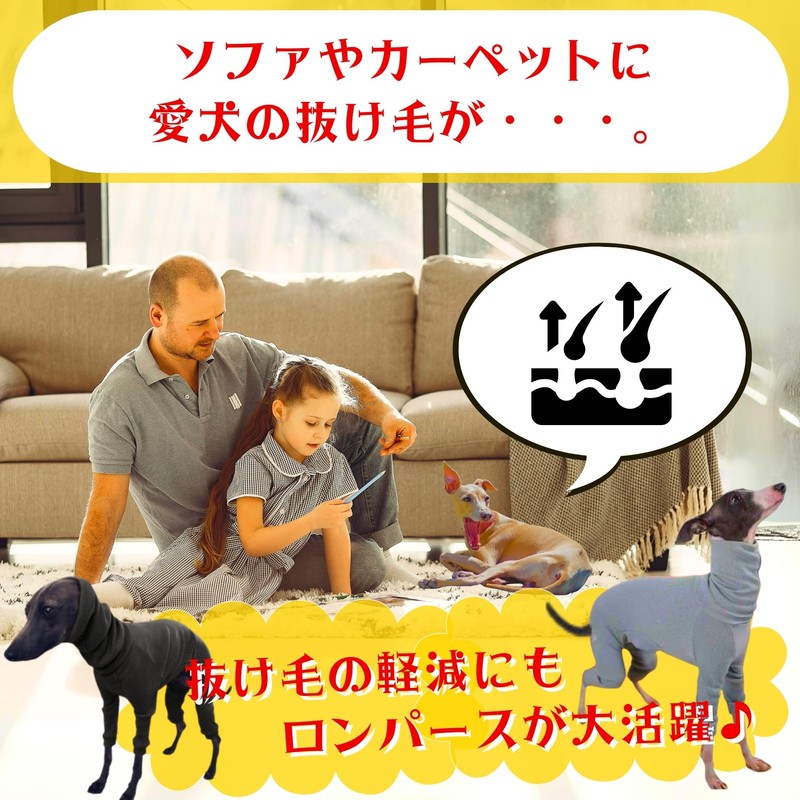 LEONIA Italian Greyhound Italian Greyhound Miniature Pinscher Advanced Elastic Rib