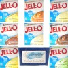 JELL-O Jello Sugar Free Fat Free Pudding Mix Variety Pack