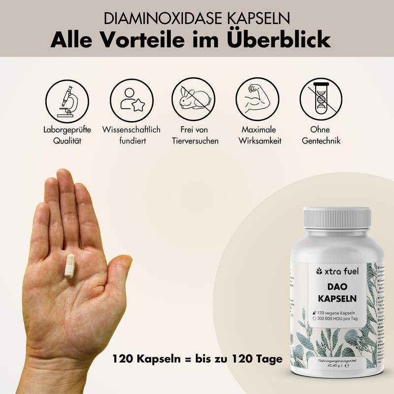 DAO Capsules 240 Pieces (High Dose) - 300,000 HDU per