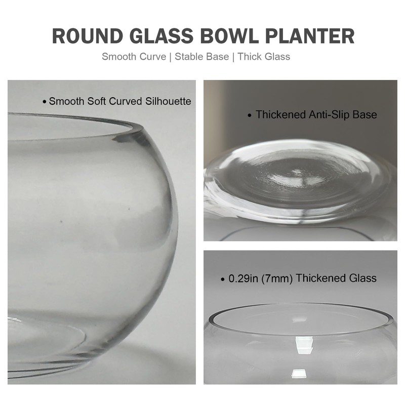 12" Large Round Glass Lotus Bowl Planter with Rattan Mat