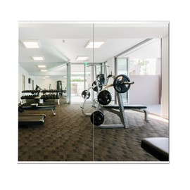 Delma Home Gym Mirror,54''x30''x2PCS,Large Full Body Tempered Glass Frameless, Wall-Mounted for Gym, Yoga, Garage, Bedroom, Bathroom