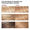 L'Oréal Loreal Superior Preference Hair Color 8G Golden Blonde Fade