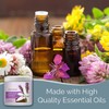 SMELLS BEGONE Lavender Vanilla Odor Absorber 15 Ounce Gel Eliminates