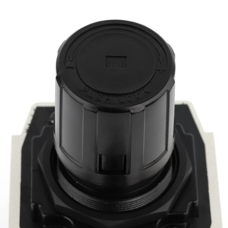 SNS Air Compressor Pressure Regulator With Bracket and Gauge Female