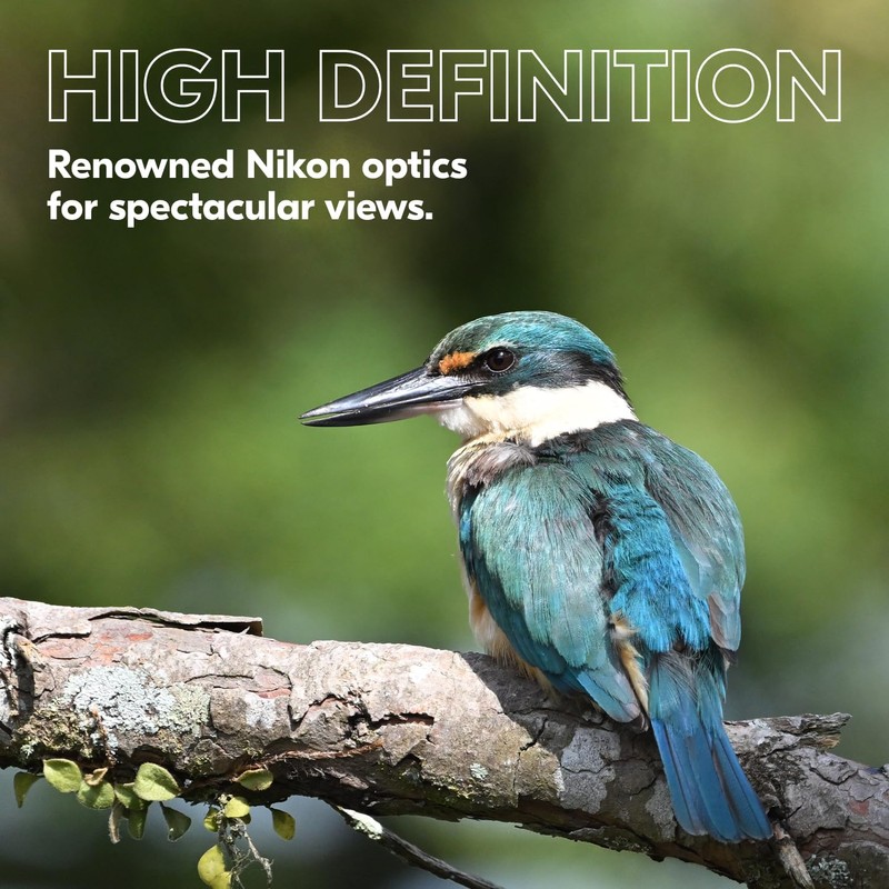 Nikon PROSTAFF P3 8x42 Binocular | Waterproof, fogproof, rubber-armored Full-Size