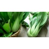 KIRA SEEDS - Seeds Chinese Cabbage Bok Choy - Heirloom