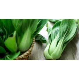KIRA SEEDS - Seeds Chinese Cabbage Bok Choy - Heirloom Vegetable - GMO Free