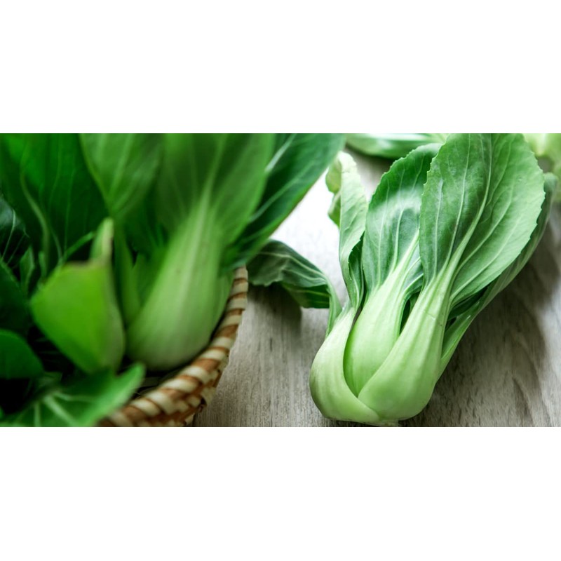 KIRA SEEDS - Seeds Chinese Cabbage Bok Choy - Heirloom