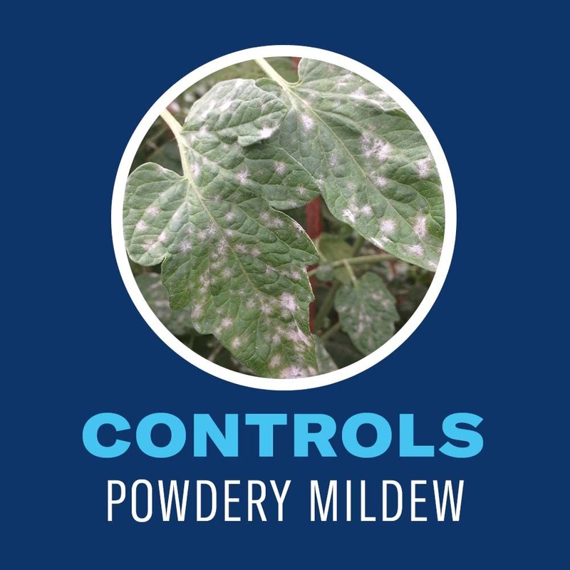 BioAdvanced Organics Brand Insect Killer for Houseplants, Ready-to-Use, 24 oz