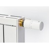 EVENES Adaptor Brass for Danfoss Valves RA Brass