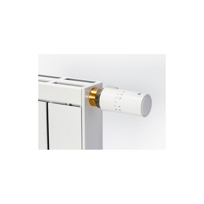 EVENES Adaptor Brass for Danfoss Valves RA Brass