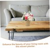 Hohopeti Straw Woven Baskets Multi-purpose Plant and Flower Baskets for