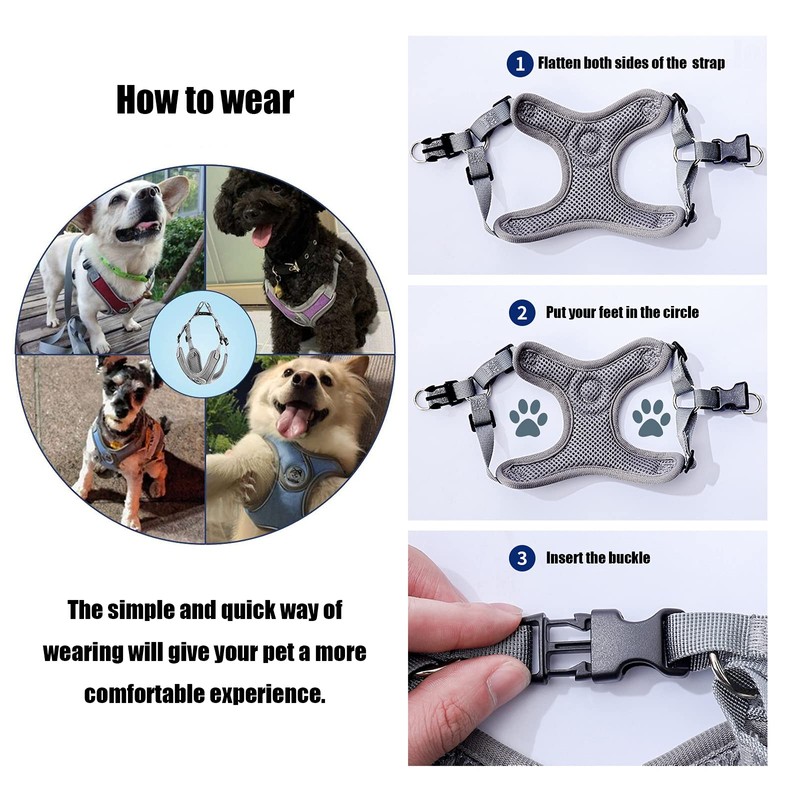 SKXEO Small Dog No Pull Harness & Lead Set -