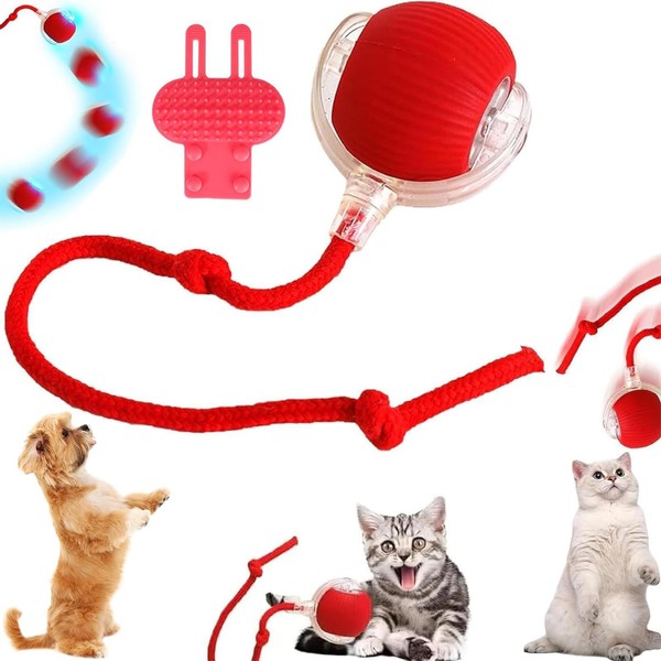 ICHOWHO Electric Cat Toy, Interactive Smart Cat Toy,Dog-Specific Rolling Ball