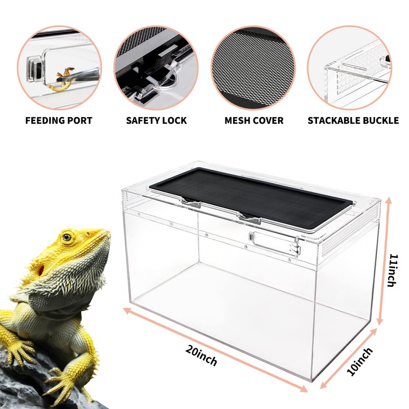 Reptile Growth Reptile Terrarium,10 Gallon Reptile Tank 20" x 10"x