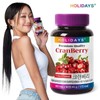 Holidays 크랜베리 90정 1병 3개월분) Cranberry 90 Tablets (1 Bottle for 3 Months)