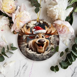 3D Effect Christmas Ornament 2024 | Moose Ornament, Winter Woodland, Funny Forest Animals Ornament, 3D Trendy Christmas Ornamet, Modern Farmhouse Decor (Winter Moose)