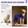 QBLEEV Dog Surgery Recovery Suit for Rear Legs, Long Back