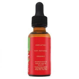Santa Secret Beard Oil (2 oz.)
