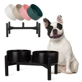 Raised Ceramic Dog Bowl Set - Elevated Double Dishes with Stainless Steel Stand - Food and Water Bowls for Small to Medium Dogs - Each Holds 2 Cups (28.75 fl oz) - Black