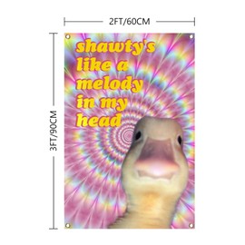 Duck Flag Shawty's Like A Melody In My Head Funny Tapestry 2x3Ft Meme Banner Wall Hanging Tapestries for College Dorm Room Man Cave Parties Decoration