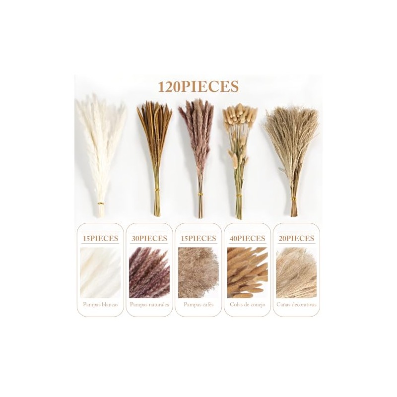 HONGHCL Pampas Decorativas Secas 120pcs - Plantas Naturales Suaves y
