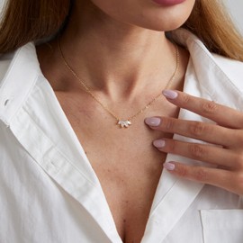 Hothrty Gold Diamond Necklace 14K Gold Plated Flower Choker Dainty Necklace Lotus Zirconia Pendant Trendy Jewelry for Woman