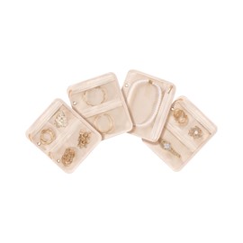 Lolalet Organizador Joyero de Viaje, 4 Bolsiloos Transparente de Terciopelo Exhibidor de Almacenaje de Joyería para Pendientes Pulseras Collares Anill