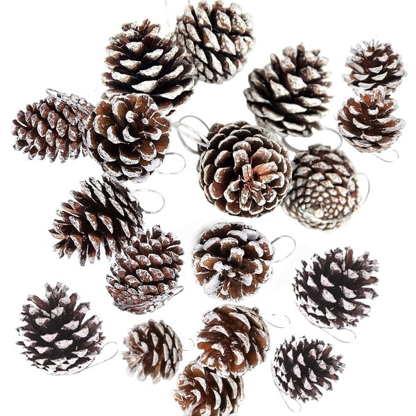 Christmas Pine Cones,Ompinda 18 Pcs Natural Mini Snow Pine Cones