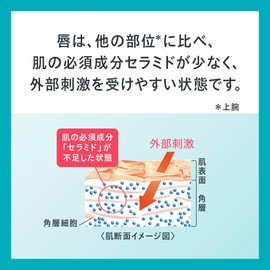 Curel Lip Care Stick x 3 Pieces