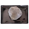 Leonardo Essenza Stone Diffuser Set - Black by Leonardo for