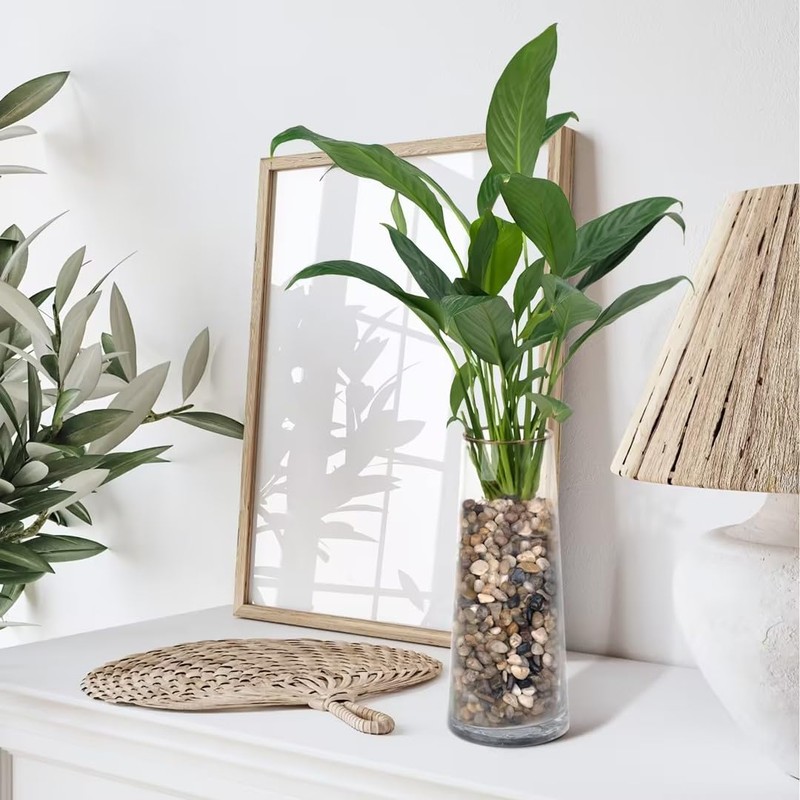Pulovin 10 lbs Pebbles for Indoor Plants, Succulent, Bamboo, Vase,