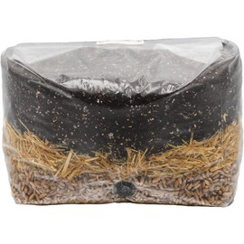 All in One Mushroom Grow Bag (5 Pounds)
