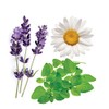 Doterra Serenity - Calming Oil Blend 15ml by doTERRA