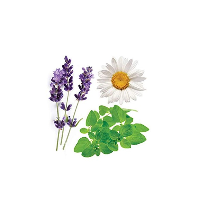 Doterra Serenity - Calming Oil Blend 15ml by doTERRA